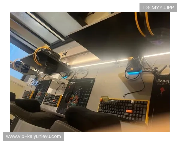 开云KY电竞的技术创新与智能化应用，推动电竞行业的数字化转型