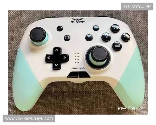 开云ws评价指南：新手玩家必看游戏优缺点全面评测与建议